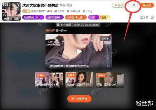 新主播爆料最新,娱乐圈幕后真相大曝光!